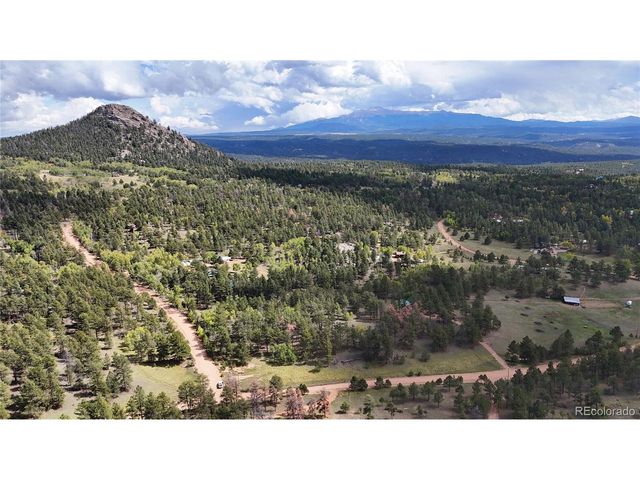 2265 Vagabond Creek Dr, Lake George, CO 80827