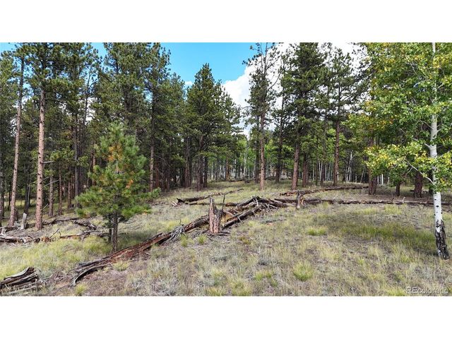 2265 Vagabond Creek Dr, Lake George, CO 80827