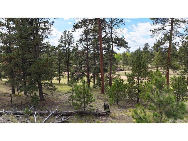 2265 Vagabond Creek Dr, Lake George, CO 80827
