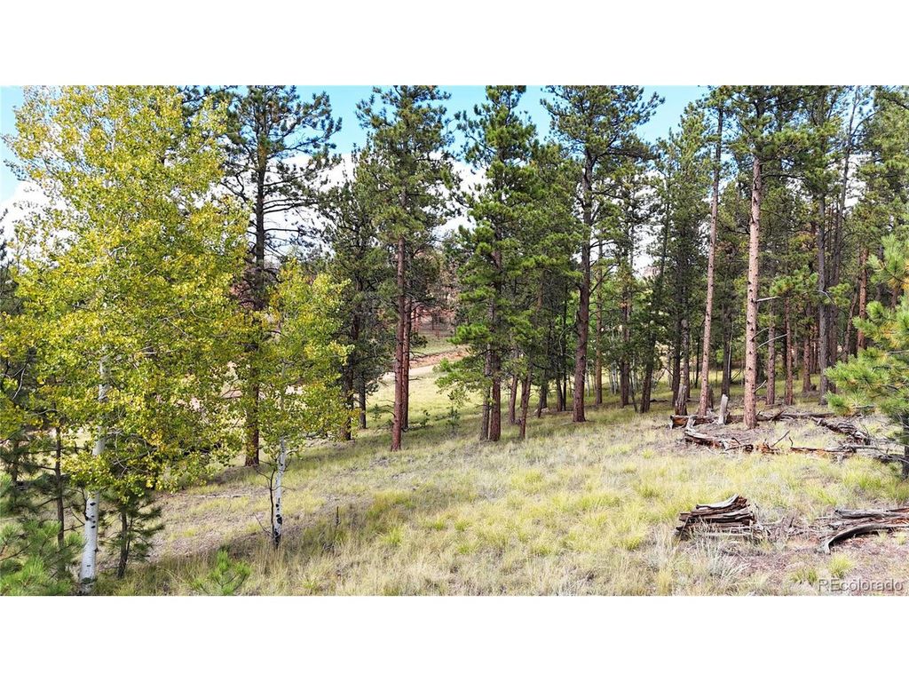 2265 Vagabond Creek Dr, Lake George, CO 80827