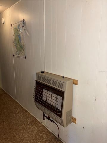 24533 PINK PANTHER ROAD, Paisley, FL 32767