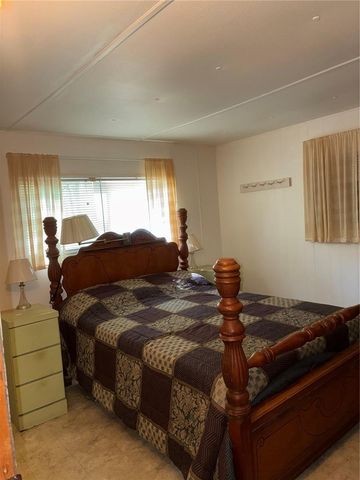 24533 PINK PANTHER ROAD, Paisley, FL 32767