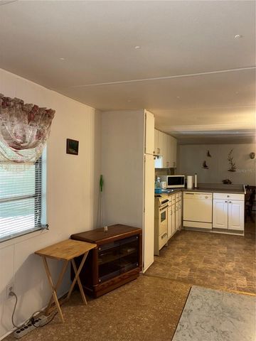 24533 PINK PANTHER ROAD, Paisley, FL 32767