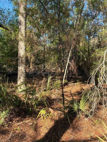 24533 PINK PANTHER ROAD, Paisley, FL 32767