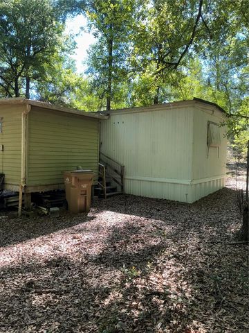 24533 PINK PANTHER ROAD, Paisley, FL 32767