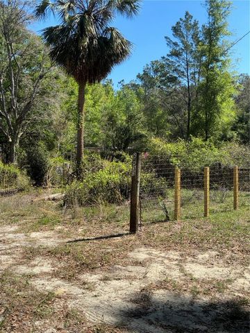 24533 PINK PANTHER ROAD, Paisley, FL 32767