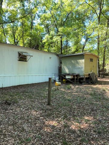 24533 PINK PANTHER ROAD, Paisley, FL 32767