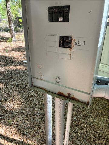 24533 PINK PANTHER ROAD, Paisley, FL 32767