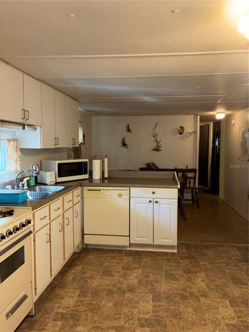 24533 PINK PANTHER ROAD, Paisley, FL 32767