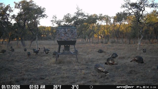 7819 Ranch to Market Road 2766 RNCH, Johnson City, TX 78636