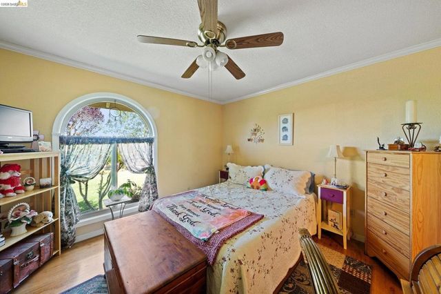 2445 Taylor Ln, Byron, CA 94514