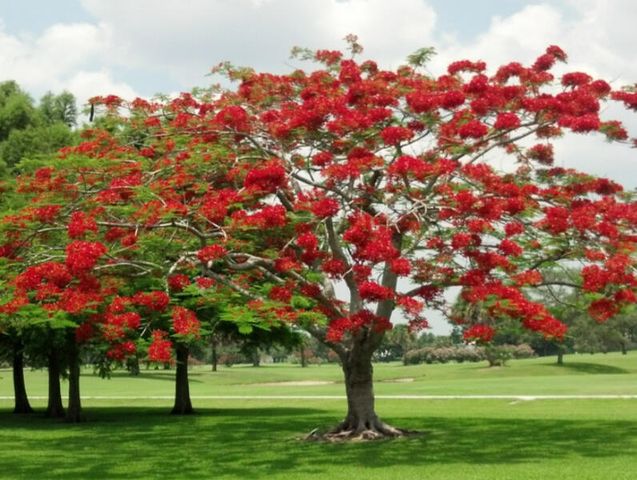 9179 SE Riverfront Terrace F, Jupiter, FL 33469