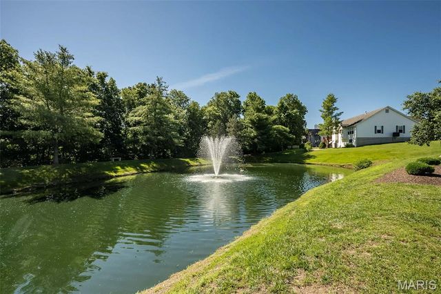 16311 Black Cherry Drive, Wildwood, MO 63040