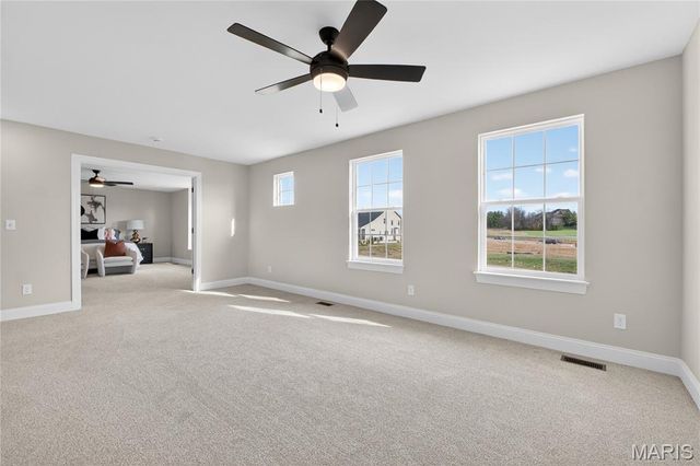 217 Bottlebrush Grove Court, Cottleville, MO 63304