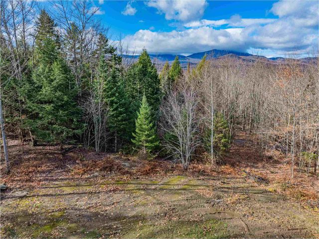 156 White Birch Road, Morristown, VT 05661