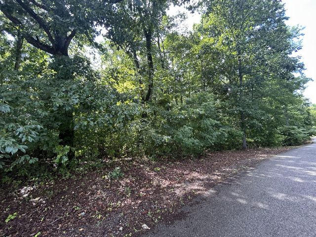 92 Butterfly Cove Trail, Decatur, TN 37322