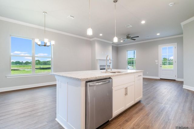 36268 Belle Parc Ave, Geismar, LA 70734