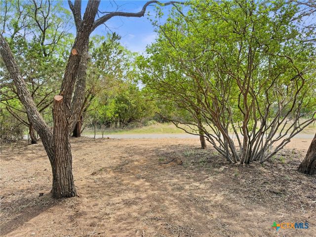 296 Seneca Drive, Burnet, TX 78611