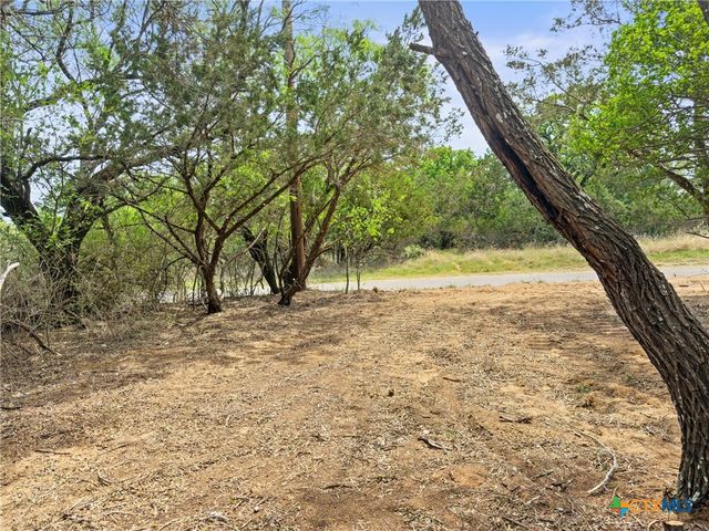 296 Seneca Drive, Burnet, TX 78611