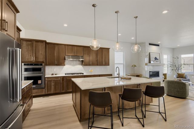 634 Leafy Aster Lane, Castle Rock, CO 80104
