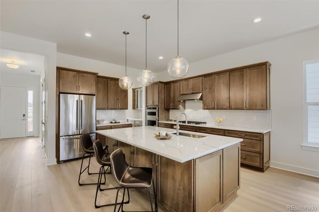 634 Leafy Aster Lane, Castle Rock, CO 80104