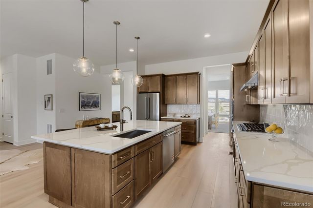 634 Leafy Aster Lane, Castle Rock, CO 80104