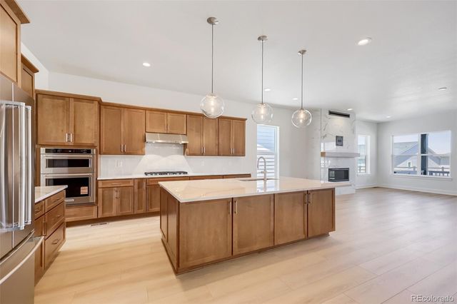 634 Leafy Aster Lane, Castle Rock, CO 80104
