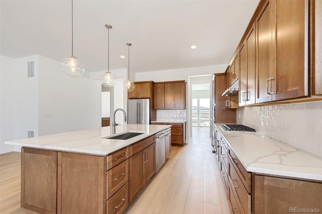 634 Leafy Aster Lane, Castle Rock, CO 80104