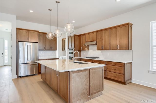 634 Leafy Aster Lane, Castle Rock, CO 80104