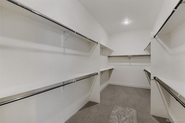 634 Leafy Aster Lane, Castle Rock, CO 80104
