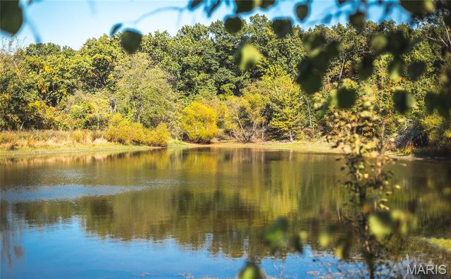 98 Turkey Ridge Lane, Steelville, MO 65565