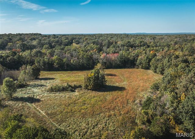 98 Turkey Ridge Lane, Steelville, MO 65565