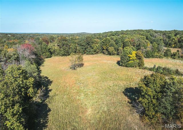 98 Turkey Ridge Lane, Steelville, MO 65565