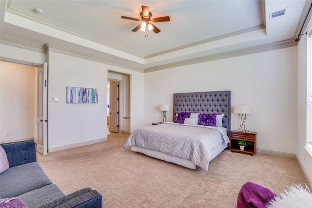 12226 Lazio Lane, Frisco, TX 75035