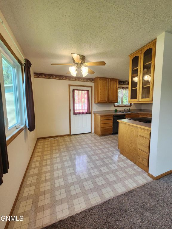 8 Brevet Place, Lincoln, ND 58504 photo 5