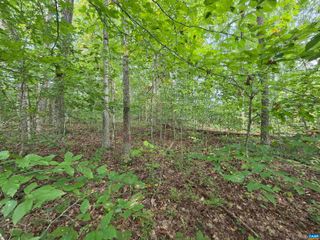 230 BEECH NUT DR, Louisa, VA 23093