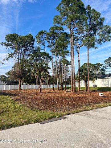 1141 Tiger Street SE, Palm Bay, FL 32909