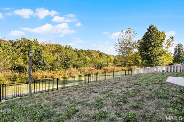 541 Wilmer Hollow Lane, Wentzville, MO 63385
