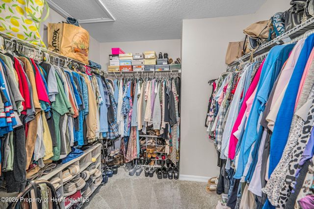 12123 Fulmar Road, Weeki Wachee, FL 34614
