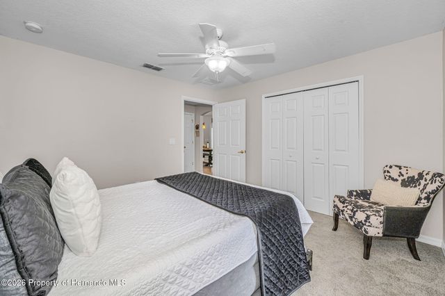 12123 Fulmar Road, Weeki Wachee, FL 34614