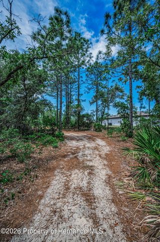 12123 Fulmar Road, Weeki Wachee, FL 34614
