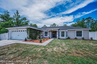 12123 Fulmar Road, Weeki Wachee, FL 34614
