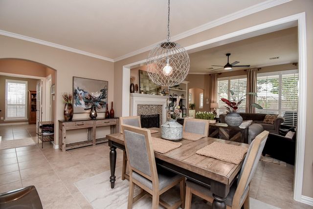 27035 Downing Park Boulevard, Katy, TX 77494
