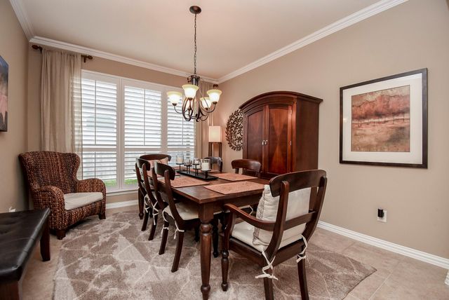 27035 Downing Park Boulevard, Katy, TX 77494