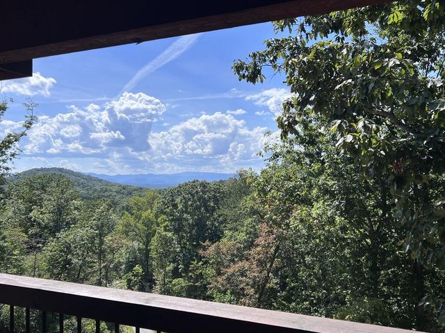175 Stuart Drive, Mineral Bluff, GA 30559