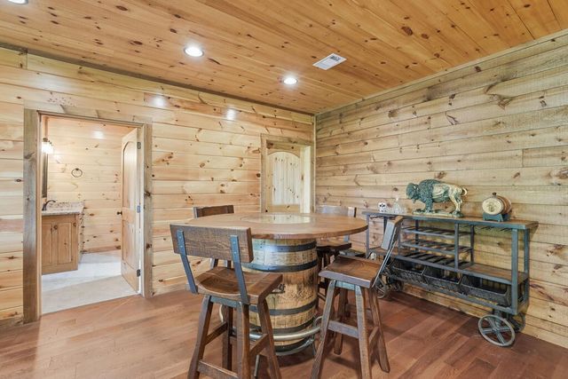 175 Stuart Drive, Mineral Bluff, GA 30559