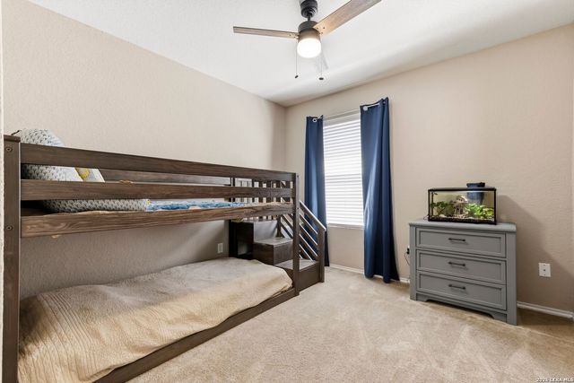 24266 Invitation Oak, San Antonio, TX 78261