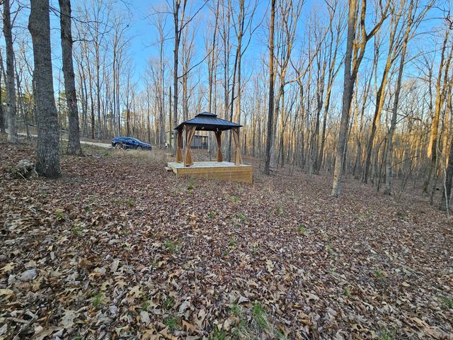 29943 Highway 157, Menlo, GA 30731