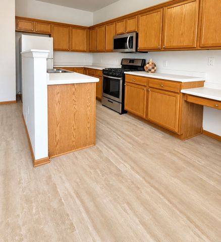 1566 Benzie Circle, Romeoville, IL 60446