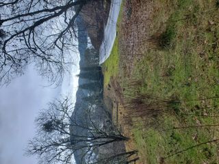 2233 SE Linden Lane, Grants Pass, OR 97527
